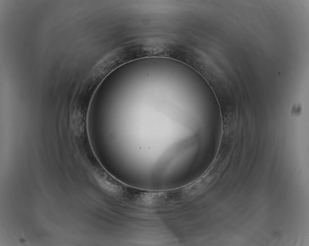 X0000091470136200708161406