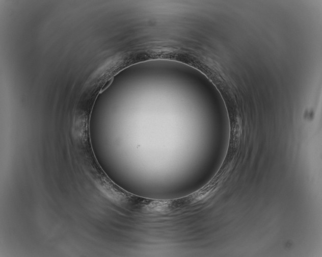 X0000091470138200708161406