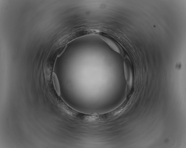 X0000091470139200708161406