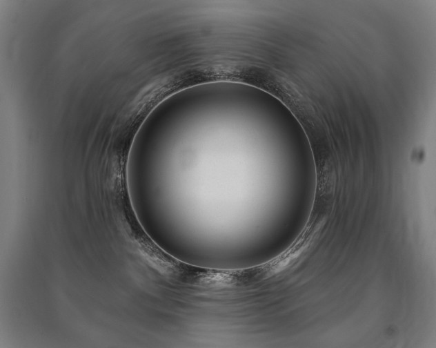 X0000091470140200708161406