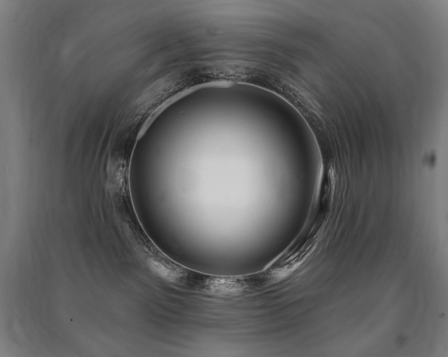 X0000091470141200708161406