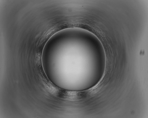 X0000091470144200708161406