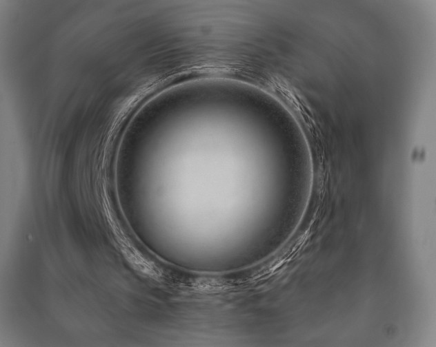 X0000091470145200708161406