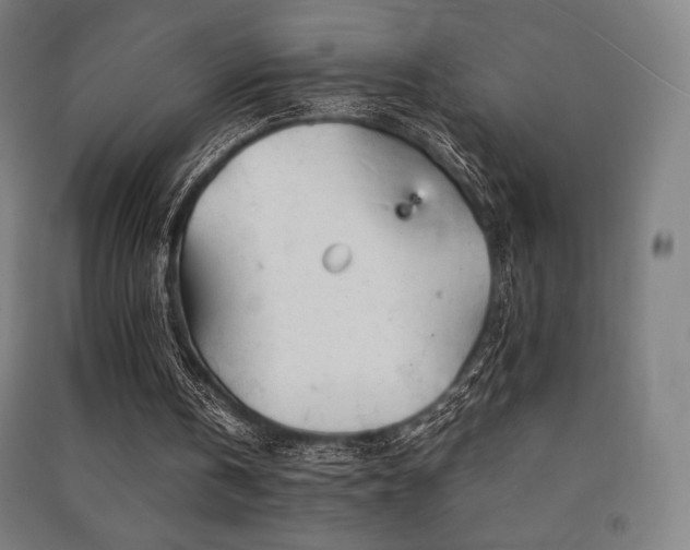 X0000091470146200708161406