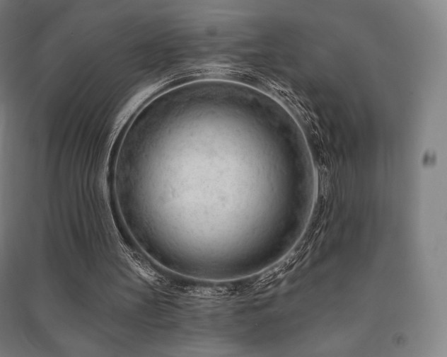 X0000091470147200708161406