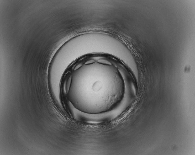 X0000091470148200708161406