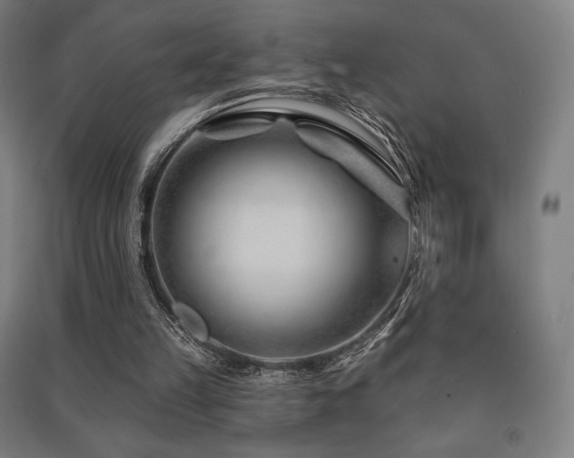 X0000091470149200708161406