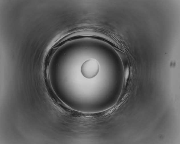 X0000091470150200708161406