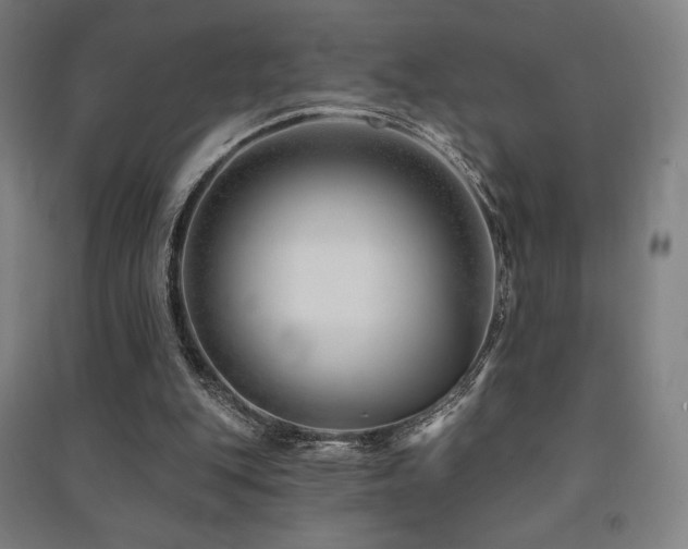 X0000091470151200708161406