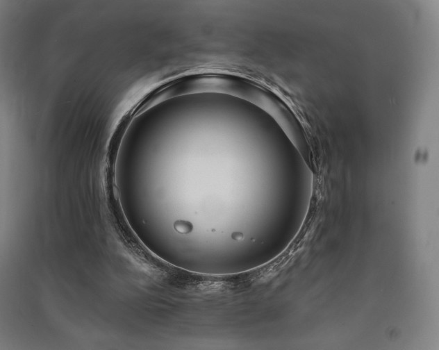 X0000091470152200708161406