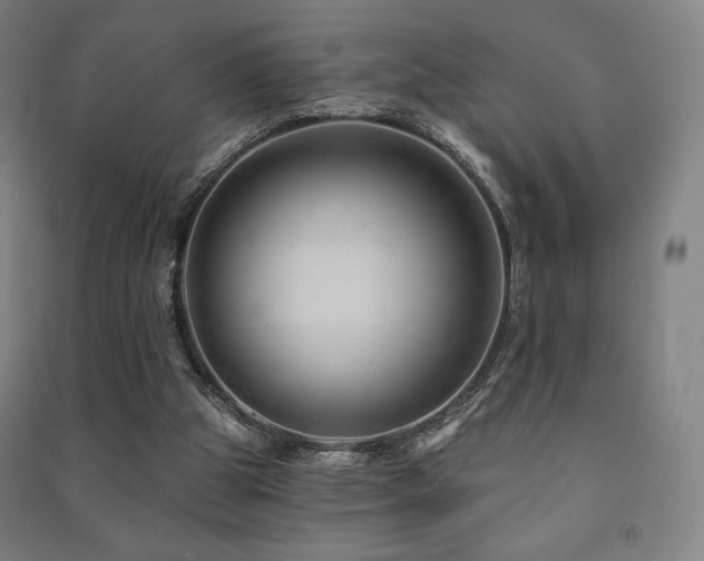 X0000091470153200708161406