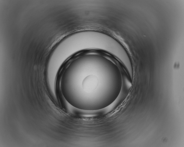 X0000091470154200708161406