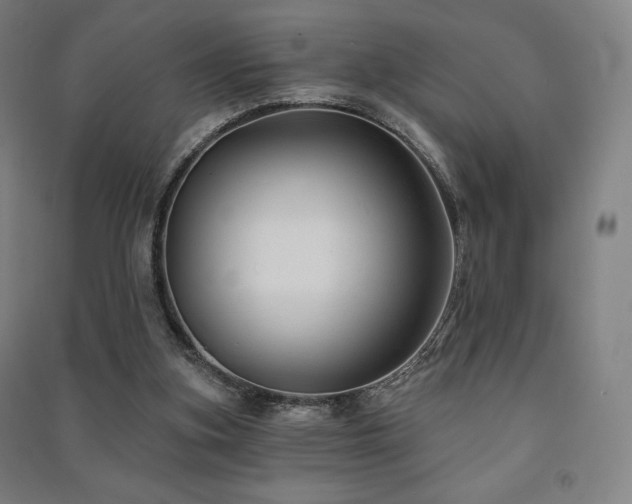 X0000091470155200708161406