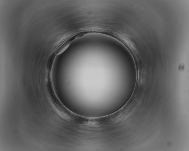 X0000091470157200708161406