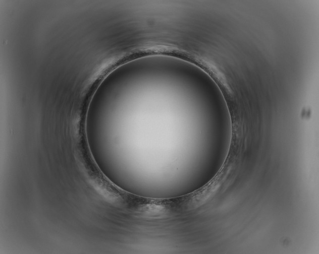 X0000091470159200708161406