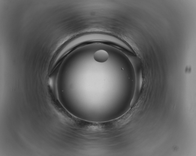 X0000091470160200708161406