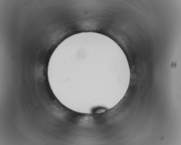 X0000091470162200708161406