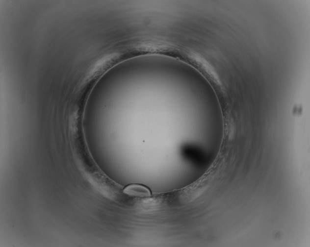 X0000091470163200708161406