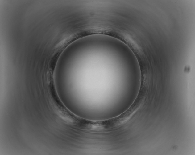 X0000091470165200708161406