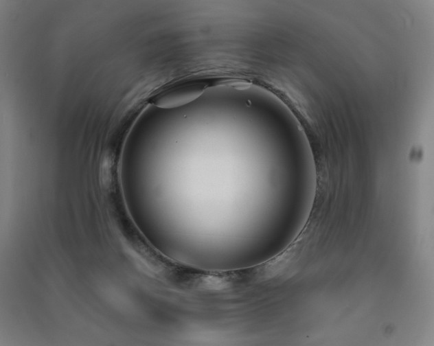 X0000091470166200708161406