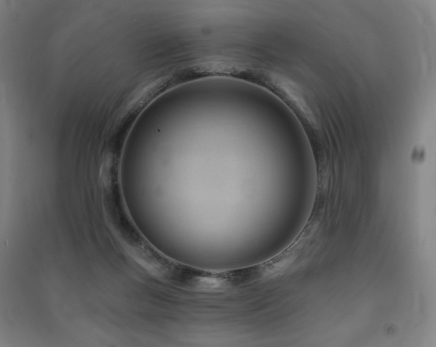 X0000091470167200708161406