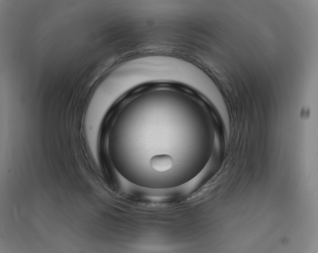 X0000091470168200708161406