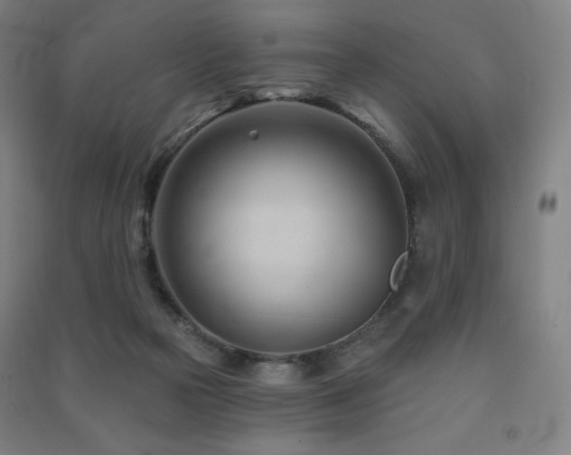 X0000091470169200708161406