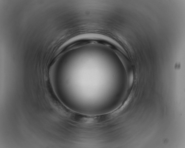 X0000091470170200708161406