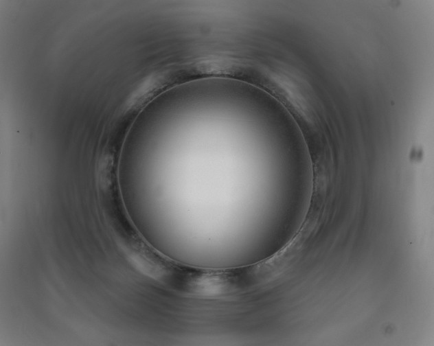 X0000091470171200708161406