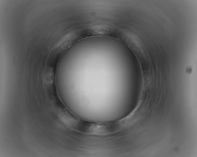 X0000091470174200708161406