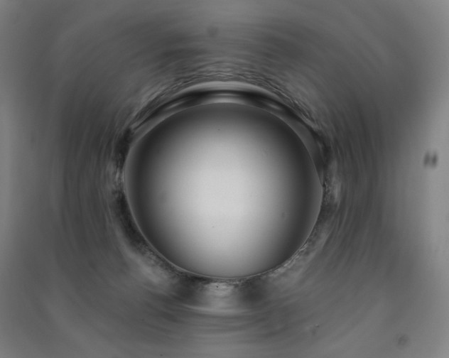 X0000091470176200708161406