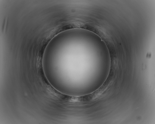 X0000091470177200708161406