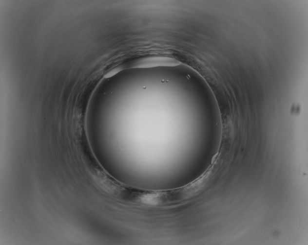 X0000091470178200708161406