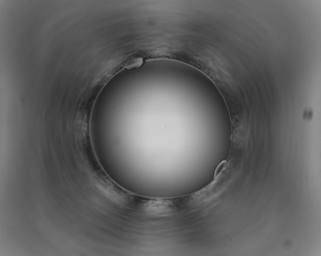 X0000091470179200708161406