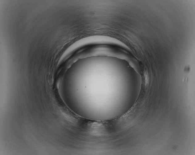 X0000091470180200708161406