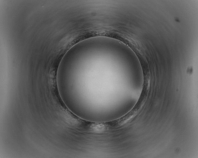 X0000091470181200708161406