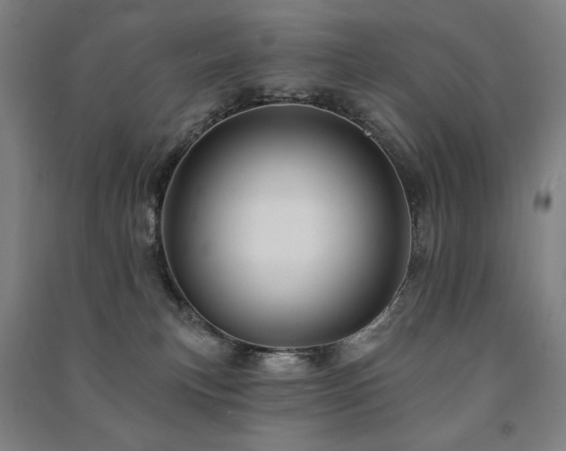 X0000091470183200708161406