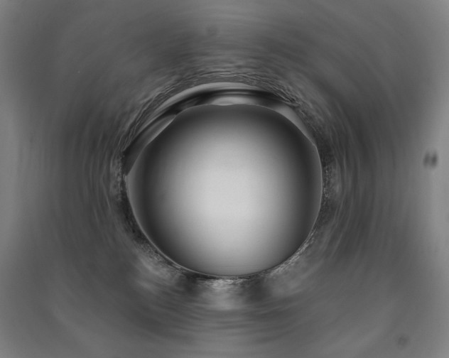 X0000091470184200708161406