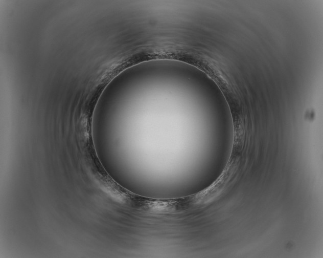 X0000091470187200708161406