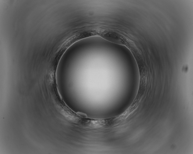 X0000091470188200708161406