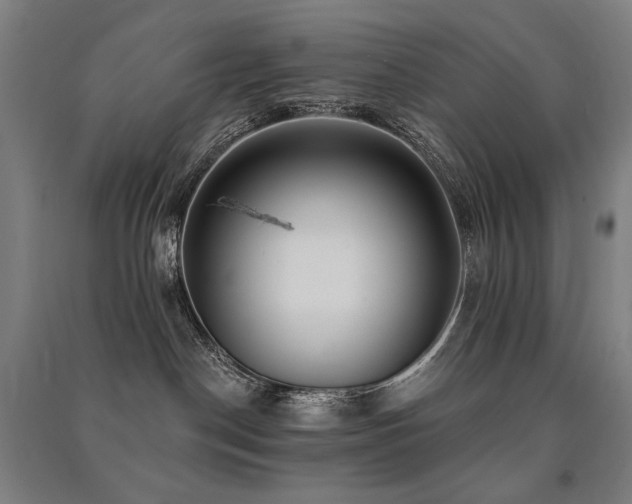 X0000091470190200708161406