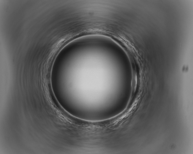 X0000091470193200708161406