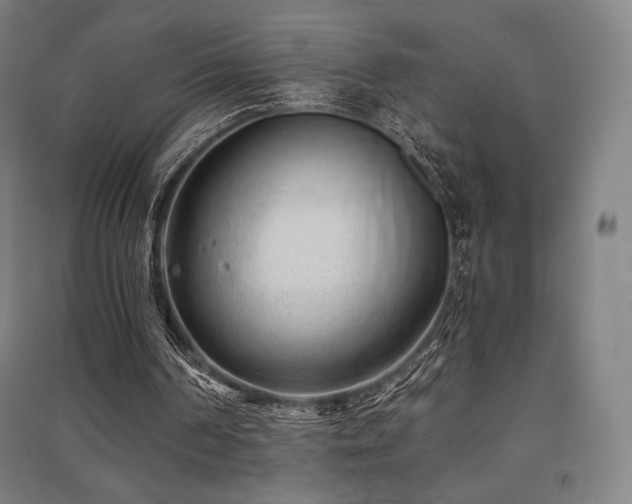 X0000091470194200708161406