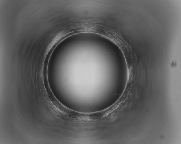 X0000091470195200708161406