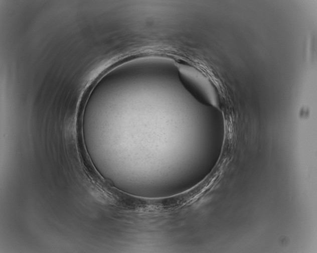 X0000091470196200708161405