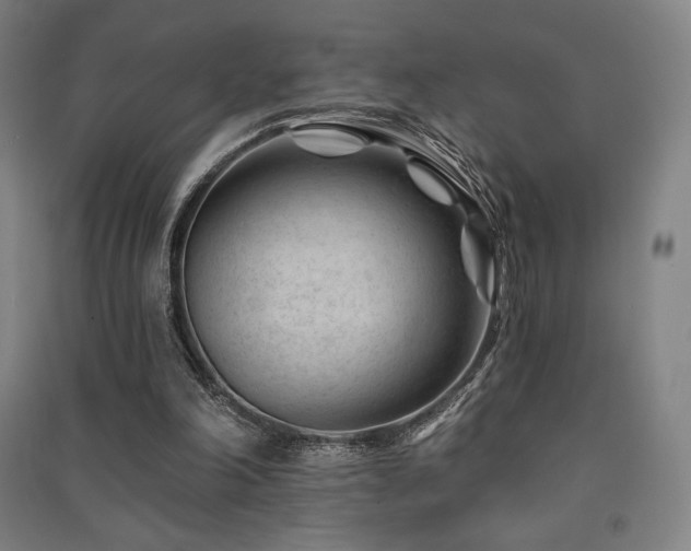 X0000091470198200708161405