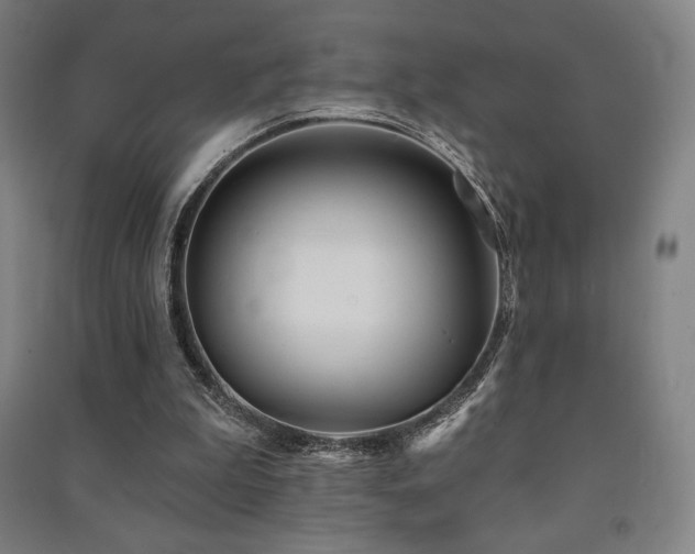 X0000091470199200708161405