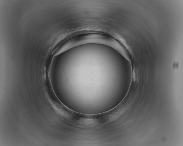 X0000091470205200708161405