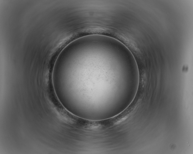 X0000091470206200708161405