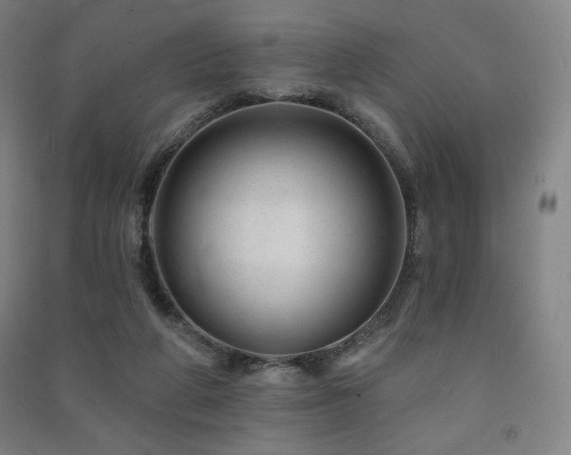 X0000091470210200708161405